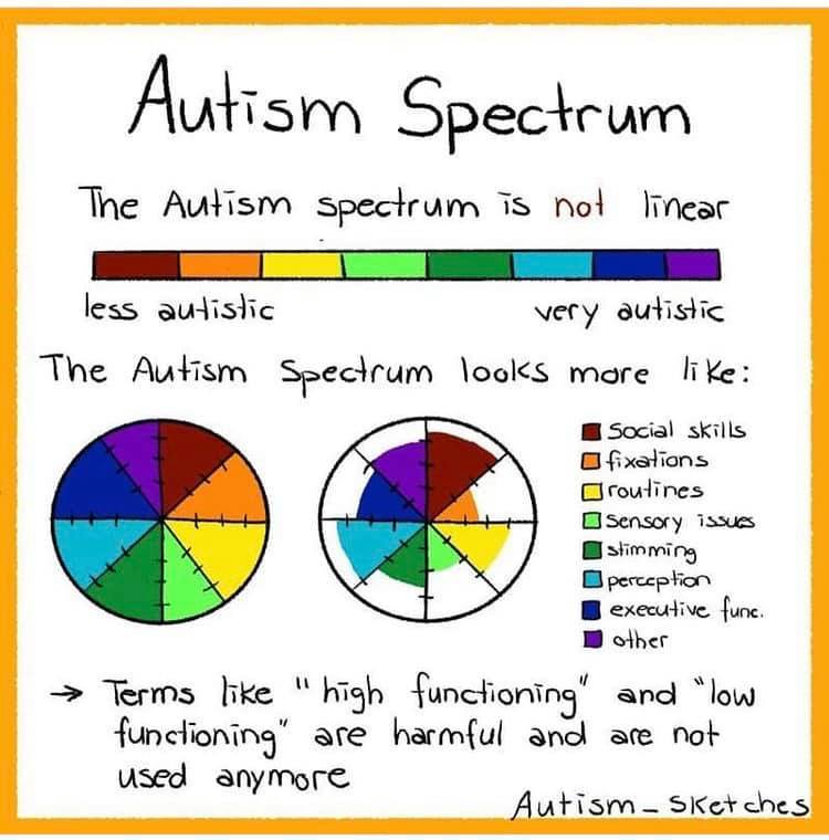 autism spectrum