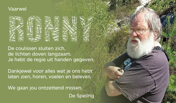 Overlijdensbericht Ronny Verheyen